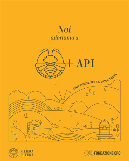 Progetto +API   -    2024
