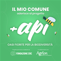 PROGETTO +API Oasi fiorite per la biodiversità