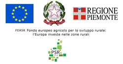 PSR2014-20_FEASR